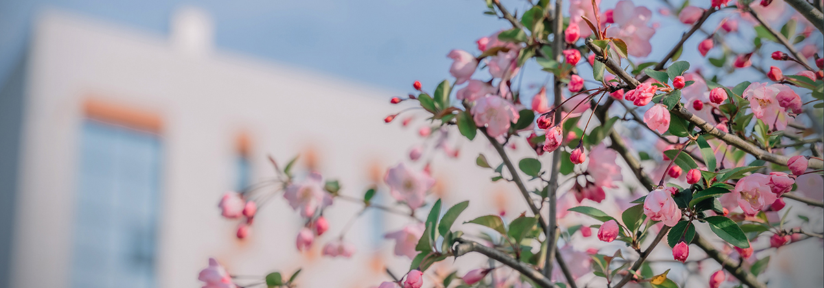 bevictor伟德官方app下载